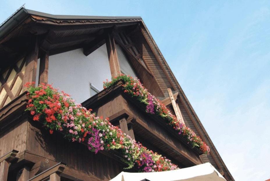 Gasthaus Zur Traube Winterrieden Exterior photo